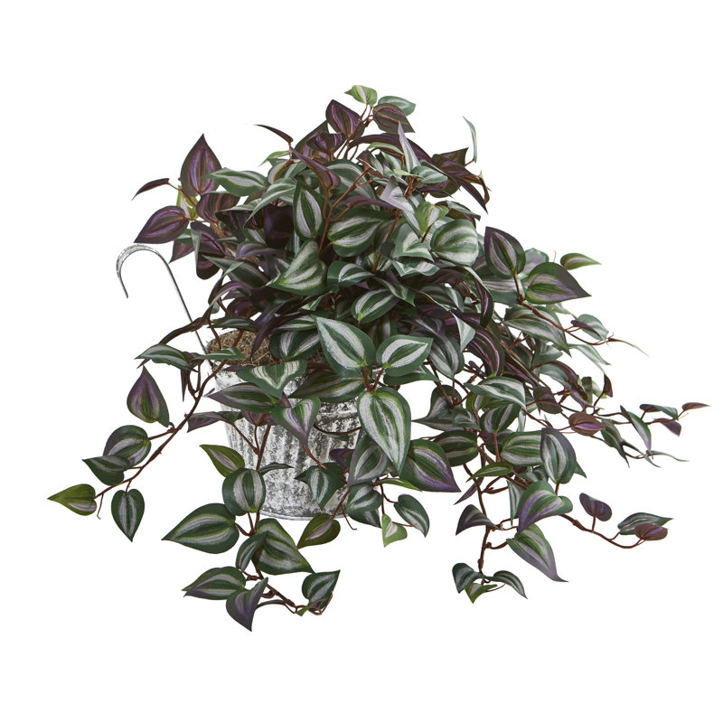 Plante jew artificielle en pot de fleurs