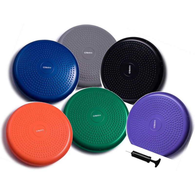 Bintiva Balance Disc