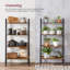 Antasek 137.5 cm H x 56 cm W Standard Bookcase