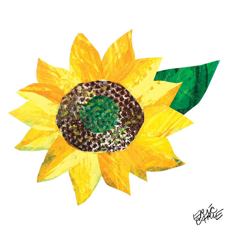 Yellow Sunflower - Graphic Art on Canvas, 102cm H x 102cm W