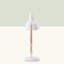 Ceylon Desk Lamp