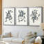 «Growing Leaves IV», impression encadrée sur mesure de qualité supérieure - 3 pièces-806555152-806555165