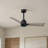 Alessandra 42'' Ceiling Fan-1421734447-1421734366