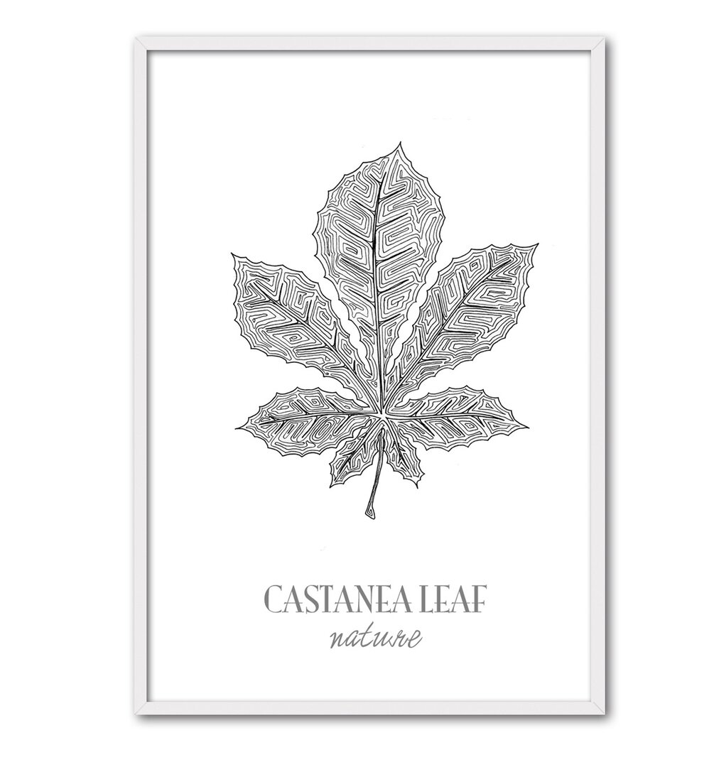 Gerahmtes Poster Castanea Leaf von César Ortiz Echagüe