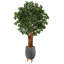 Litchi artificiel 72 po en pot