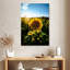 Harnek tournesol amour-108226238