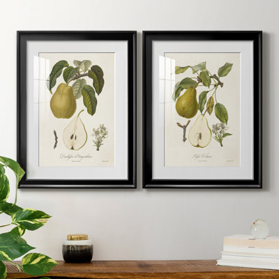 " Vintage Pears I " 2 - Pieces Painting Print