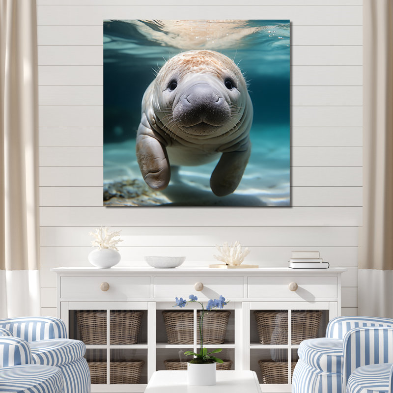 Curious Manatee Gaze III - Art mural lamantin, Toile tendue, H 36 po x l 36 po x P 1,5 po