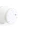 Edison the Mini Wireless Table Lamp