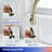 Rainlex Pull Down Kitchen Faucet-100933676