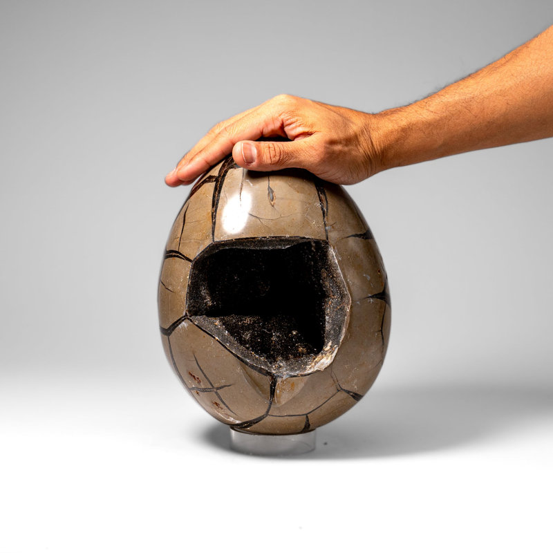 Œuf de géode de Druzy poli septarien poli de Madagascar (20 lb)