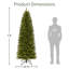 Sapin de Noël vert élancé-265182608