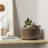 6.5+8 Inch Ceramic Plant Pot with Drainage Hole-193060668