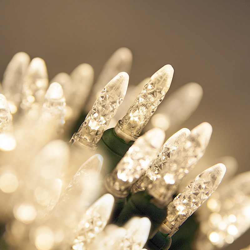 288'' LED String Lights, Warm White