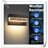 Adallyn LED Wall Light