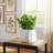 Stoneware Ceramic Planter with Sculpted Textured Form and Rounded Silhouette for Decorative Display and Botanical Arrangement in Indoor or Covered Outdoor Settings-126410033