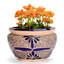 Clay Pot Planter-51307856