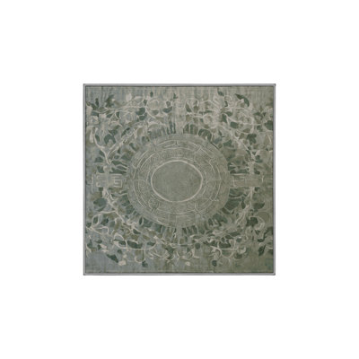 Tapis brun soyeux et moelleux