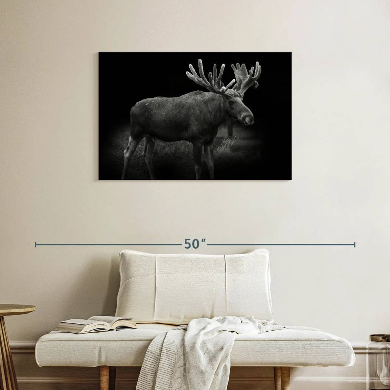 Brampt Monochromatic Bull Moose, 24" H x 36" W