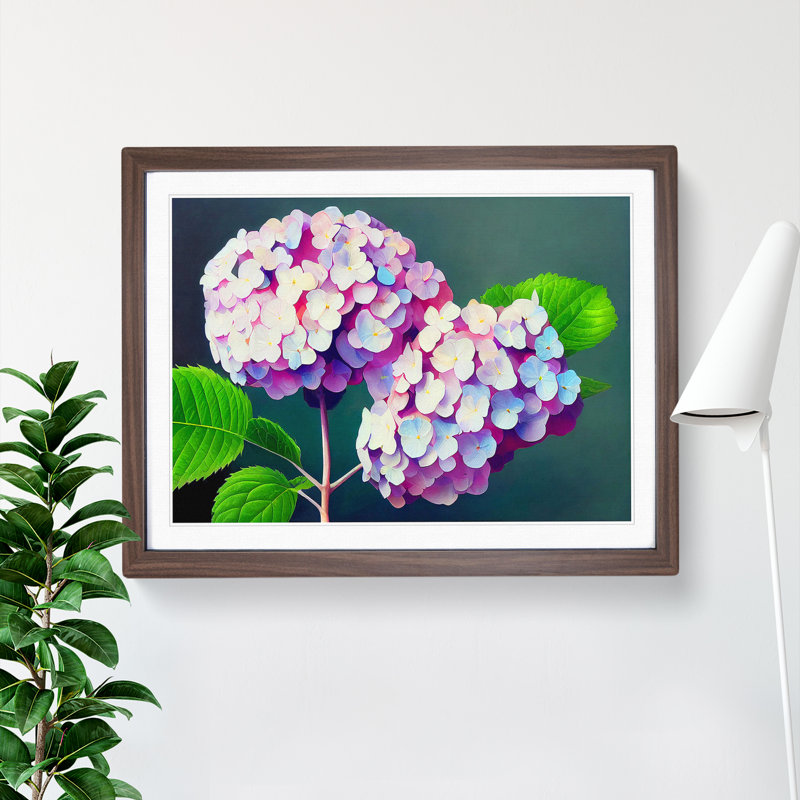 Glowing Hydrangea Flowers - Single Picture Frame Print
