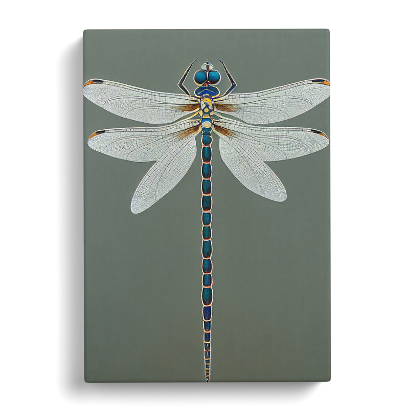 Breathtaking Dragonfly - Wrapped Canvas Print, 50cm H x 35cm W x 3cm D