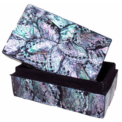 Boîte rectangulaire à scintillement shells