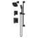 Verity HydroMersion Double Handle Shower System with Hand Spray