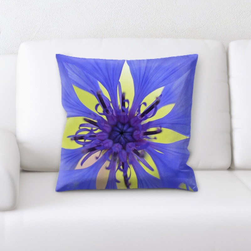 Coussin bleuet