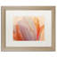 « orange lueuring tulip », reproduction d’impression sur toile encadrée-32706768-32706771