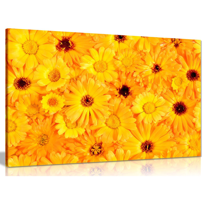 Flowers - Wrapped Canvas Print, 31cm H x 46cm W