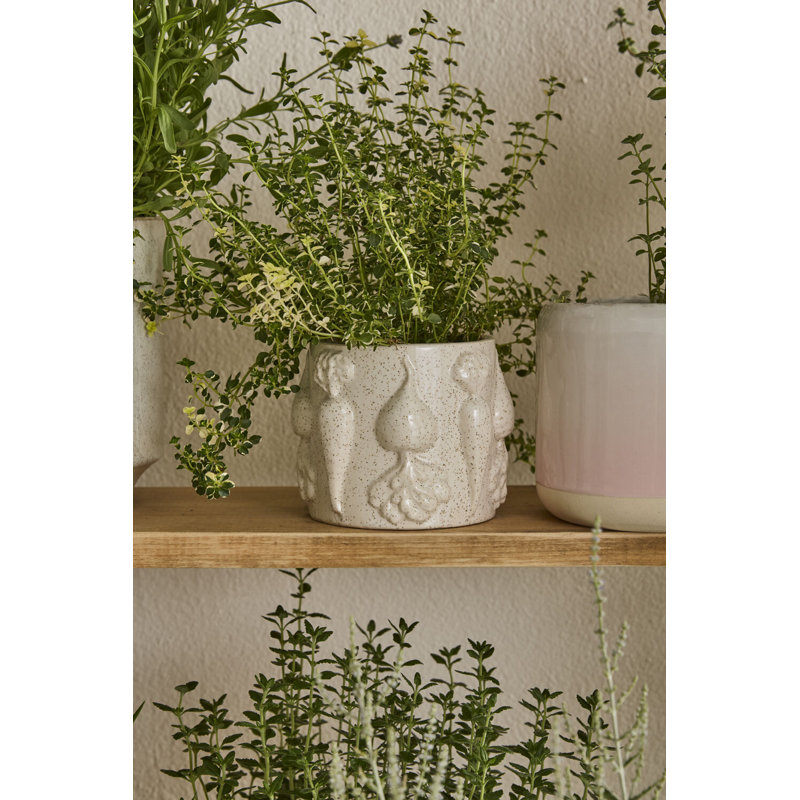 Pot à légumes