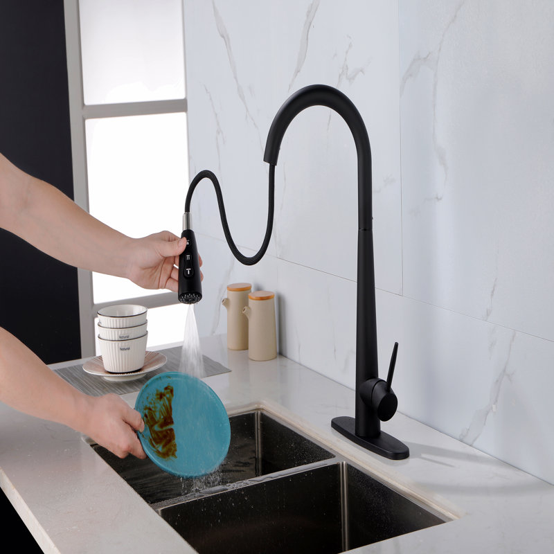 Robinet d'évier de cuisine à poignée simple en acier inoxydable avec douchette extractible, Noir mat