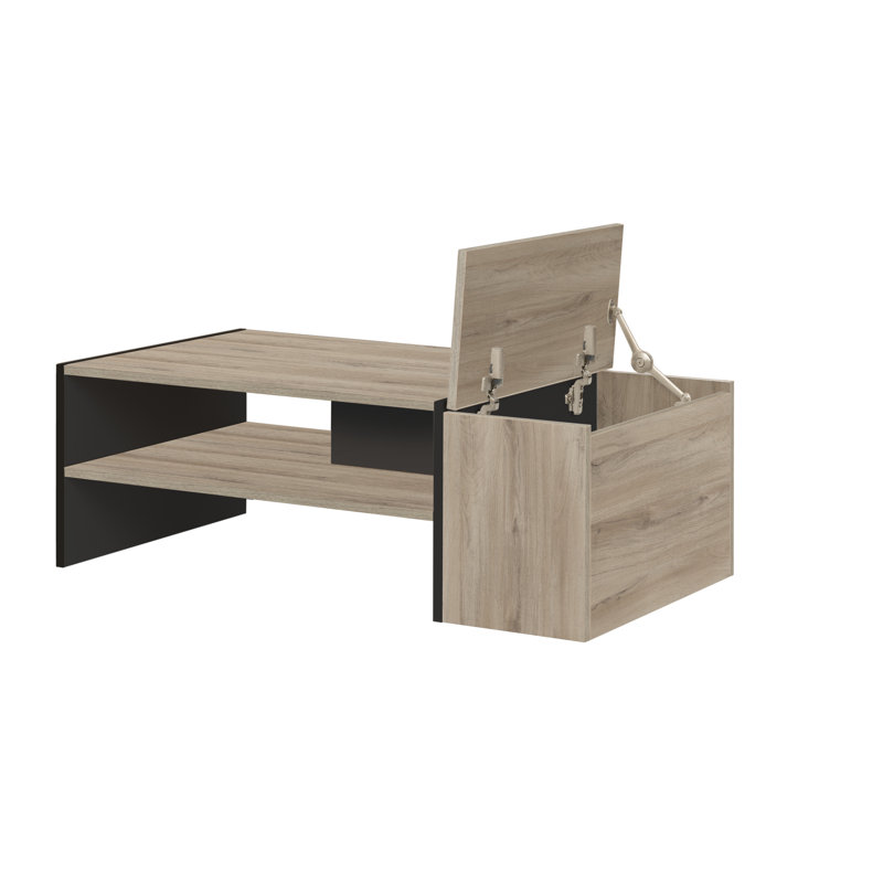 Alesia Pedestal Coffee Table with Storage