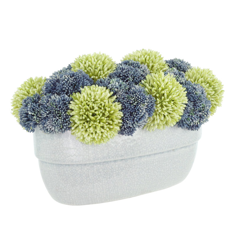 Assorted Sedum in Ceramic Pot