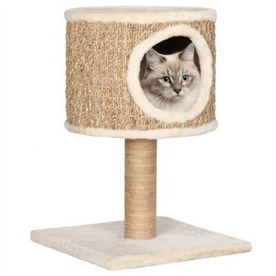 Nantwich 52cm H Cat Tree