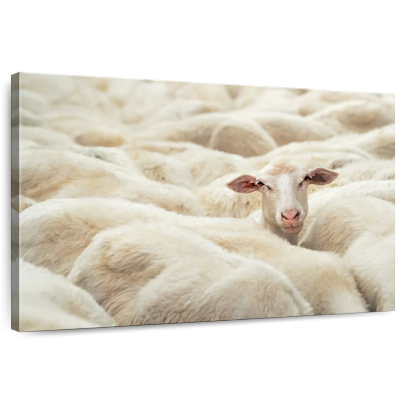 Brampt Curious Sheep, 30" H x 45" W