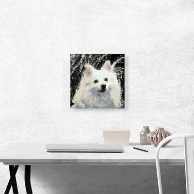Reproduction d'art sur toile tendue American Eskimo