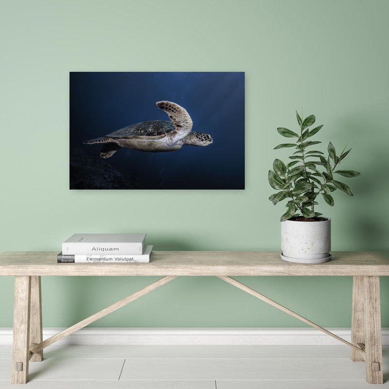 Majestic Sea Turtle Contemporary Turtle Wall Art Print 1 Piece Wrapped Canvas Wall Art, 40.64cm H x 60.96cm W