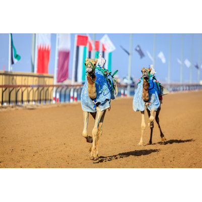 Uncamel Racing In Dubai by Alexeys - Wrapped Canvas Print