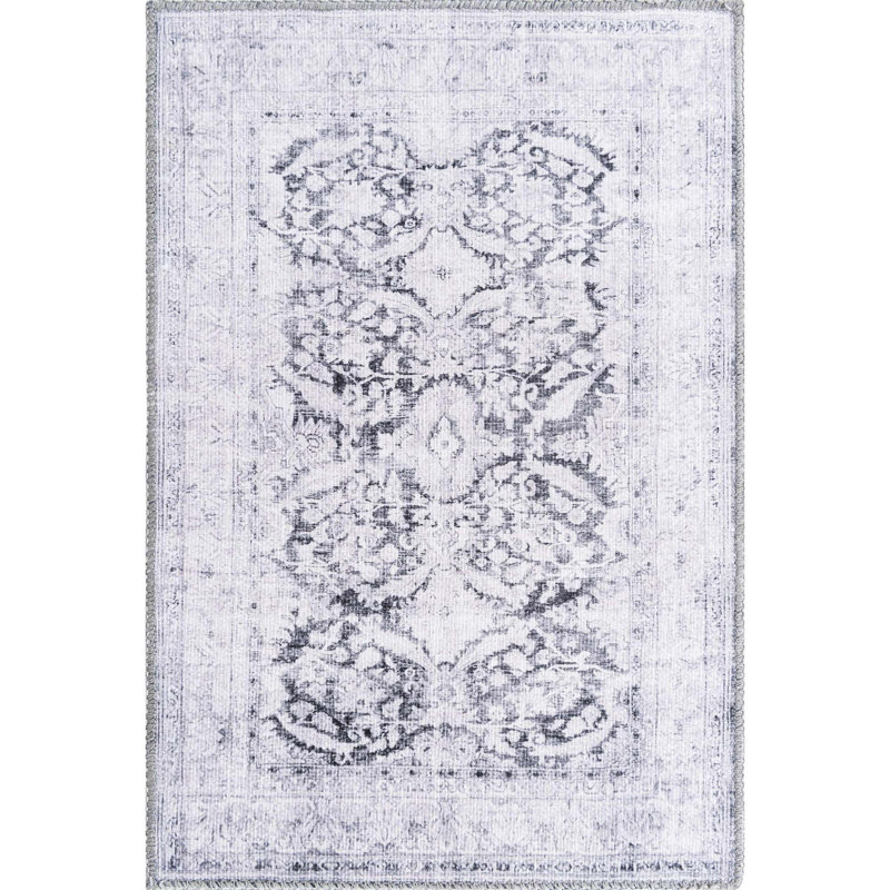 Heyde Chenille Oriental Indoor Rug, Rectangle 2' x 3'