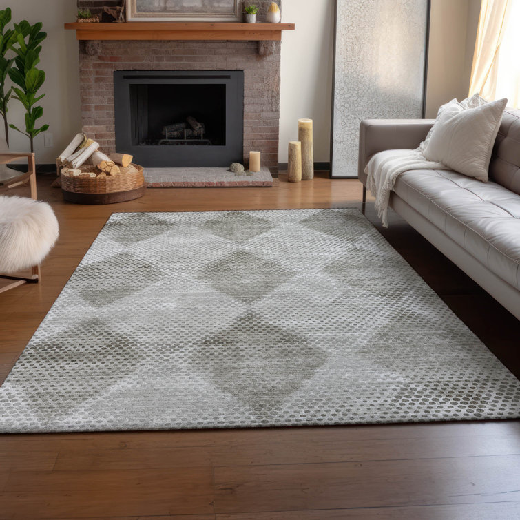 Premium Machine Washable Cerrito Amf539 Gray Rug