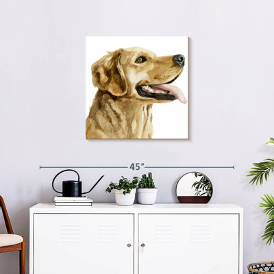 Brampt Pet Profile II