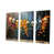 Toile tendue