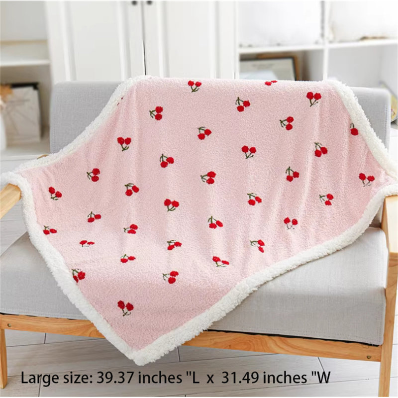 Couvertures pour chiens, L 39,37 po x l 31,49 po