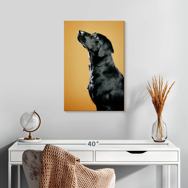 Brampt Obedient Black Dog, 24" H x 16" W