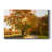 " Maple Tree Drive "-1869755164