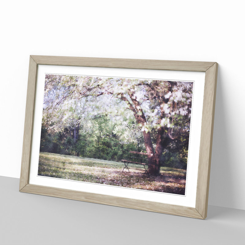 Blossom Tree in a Park - Framed Print, 36cm H x 48cm W x 2cm D, Oak Framed
