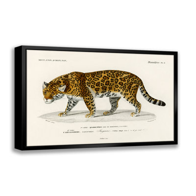 Jaguar by - on