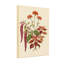 Arrangement floral de plantes et de fleurs avec des fleurs rouges et oranges