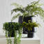 Acquah Metal Cachepot - Set of 3